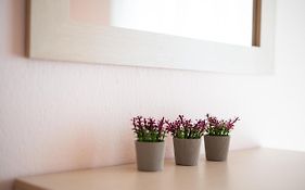 N&K Dream View Apartment